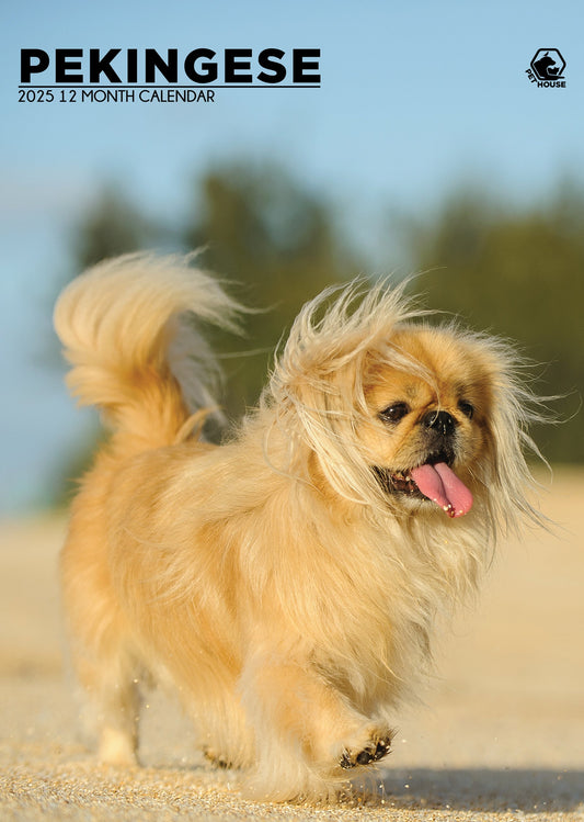 Pekingese Calendar 2025