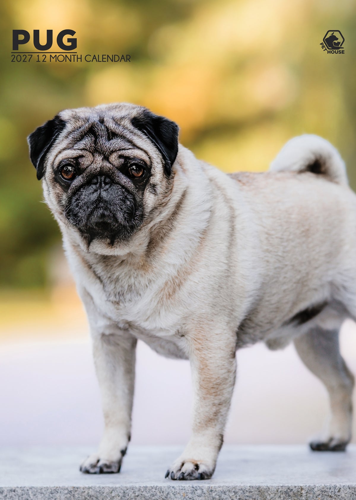 Pug Calendar 2027 – Celebrate the Adorable Pug Breed