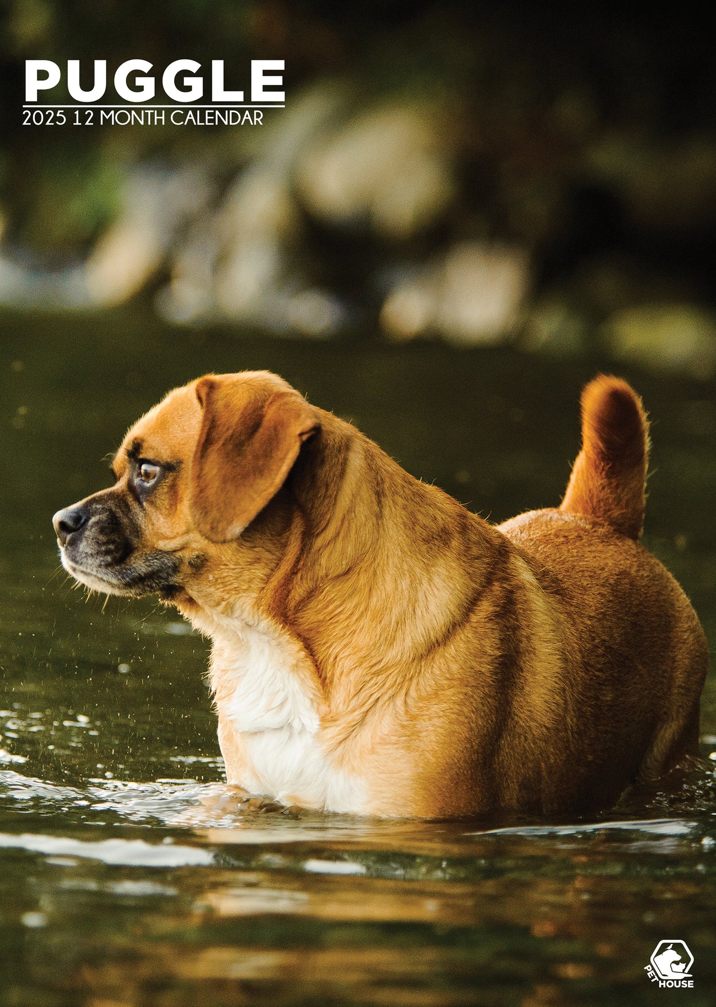 Puggle Calendar 2025