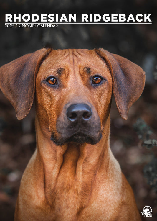 Rhodesian Ridgeback Calendar 2025