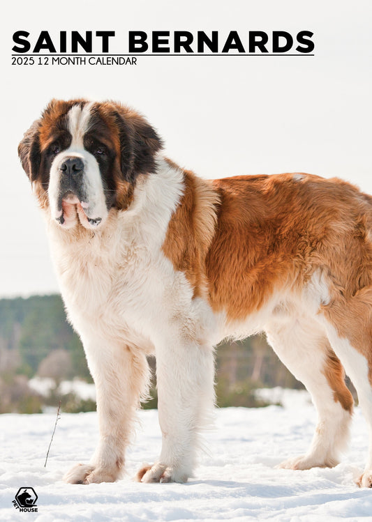 Saint Bernard Calendar 2025