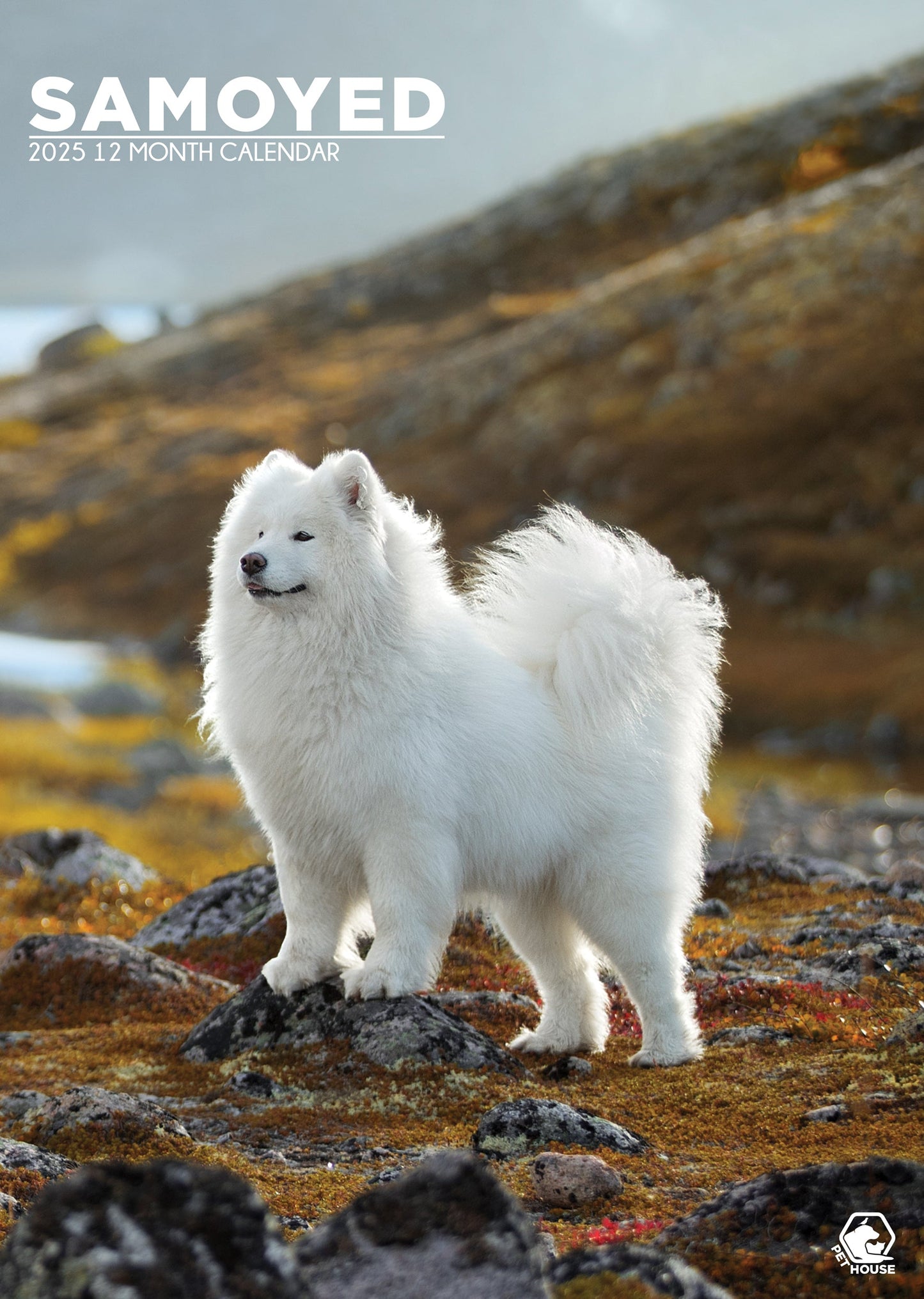 Samoyed Calendar 2025