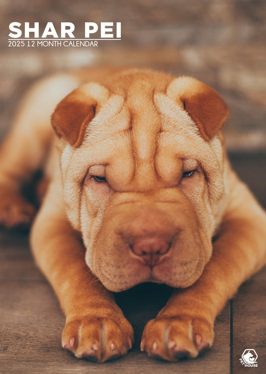 Shar Pei Calendar 2025