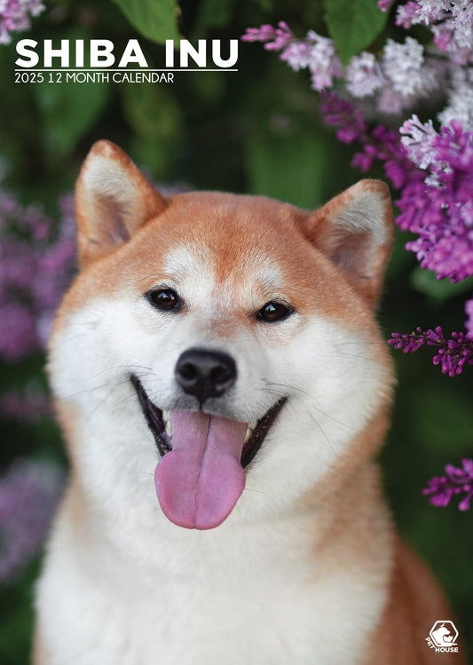 Shiba Inu Calendar 2025