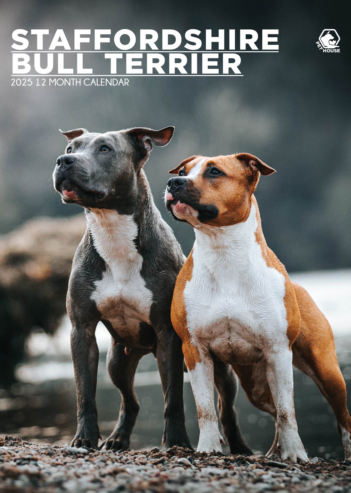 Staffordshire Bull Terrier Calendar 2025