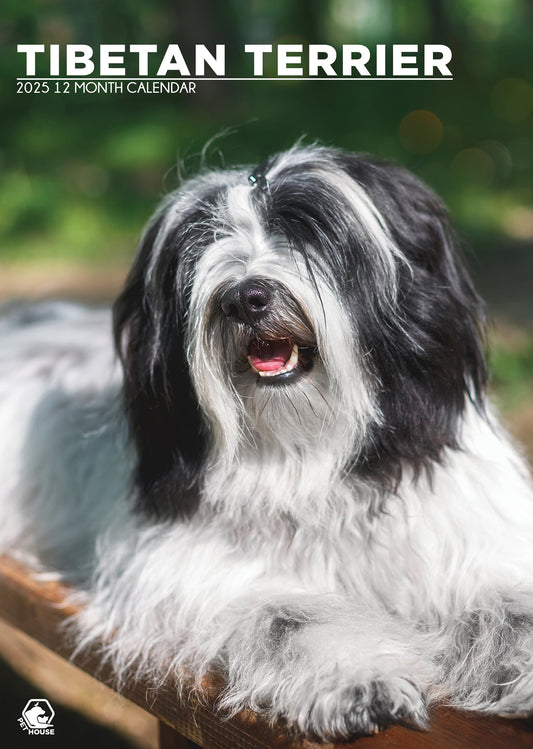 Tibetan Terrier Calendar 2025