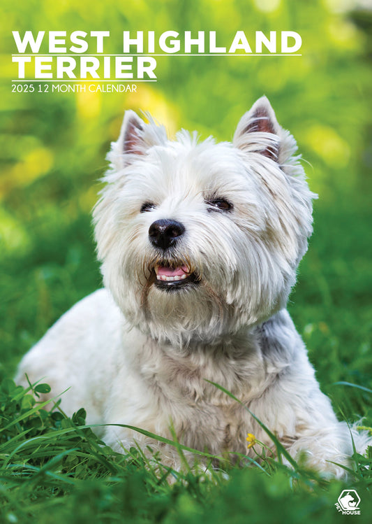 West Highland Terrier Calendar 2025