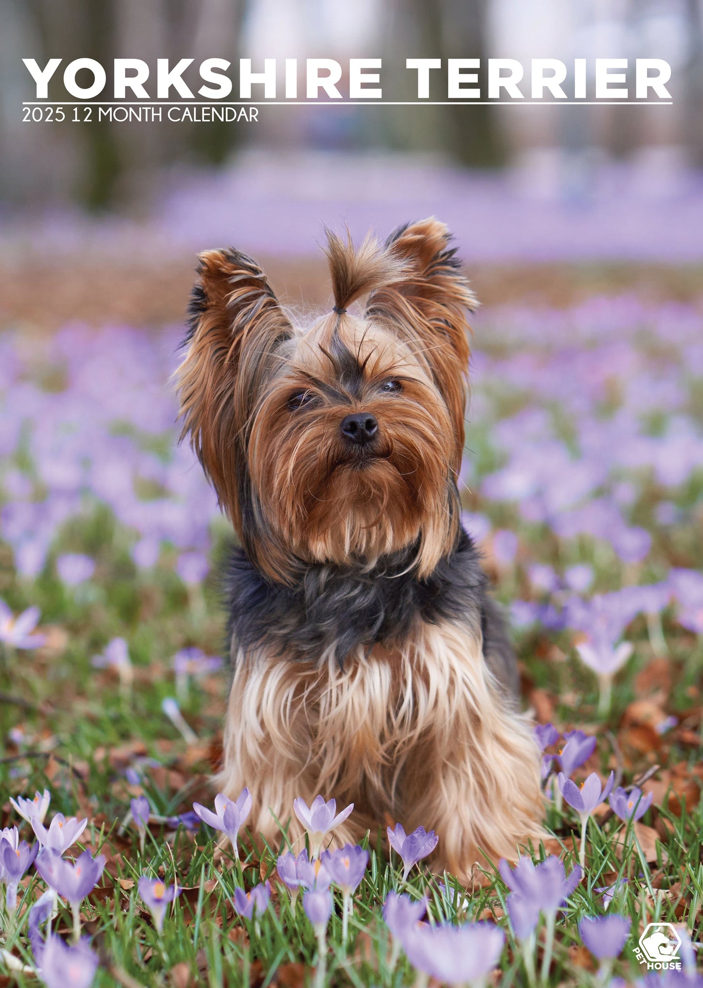 Yorkshire Terrier Calendar 2025