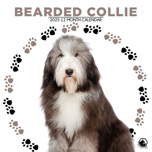 Bearded Collie Calendar Square 2026