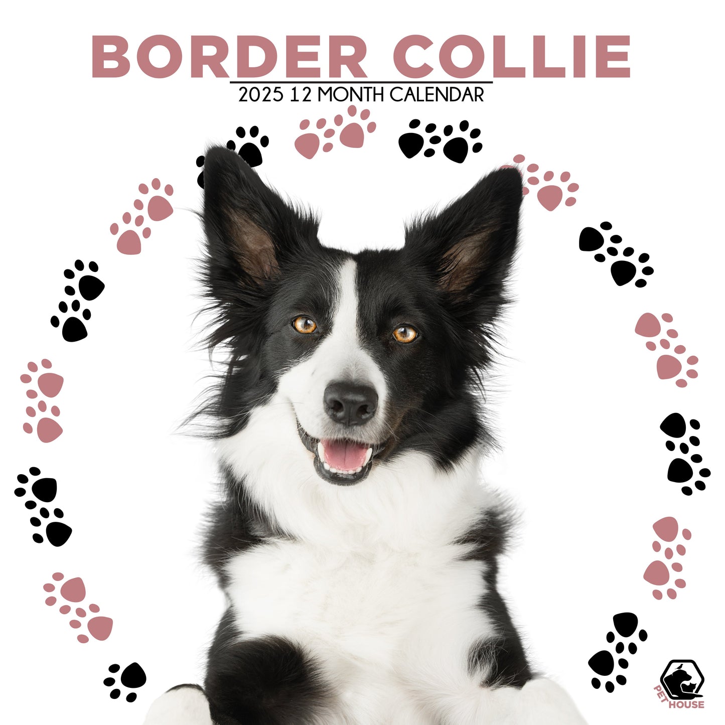 Border Collie Calendar Square 2026