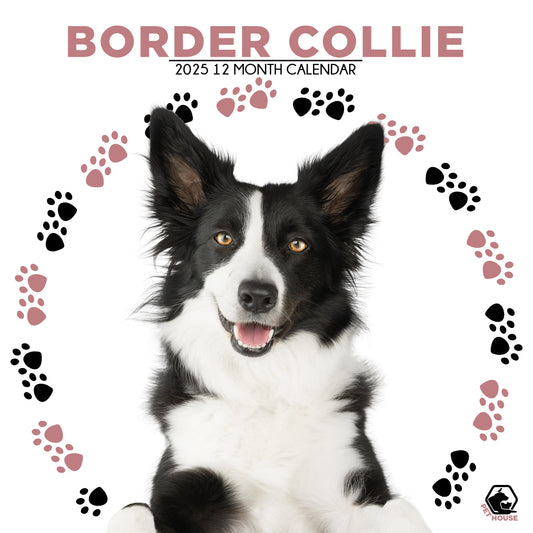 Border Collie Calendar Square 2026