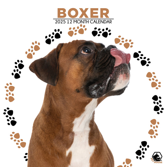 Boxer Calendar Square 2026