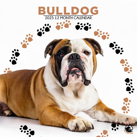 Bulldog Calendar Square 2026