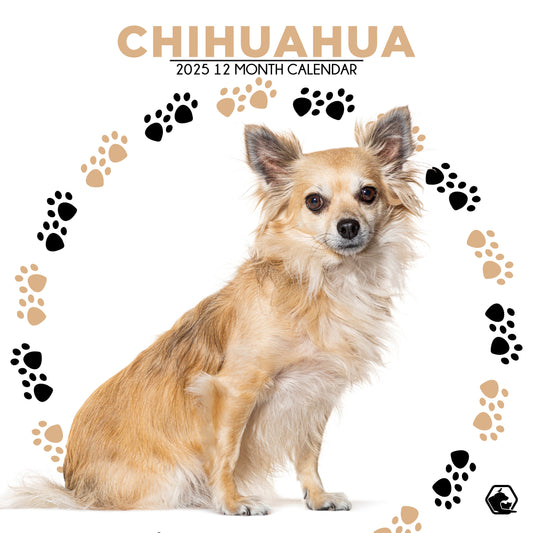 Chihuahua Calendar Square 2026
