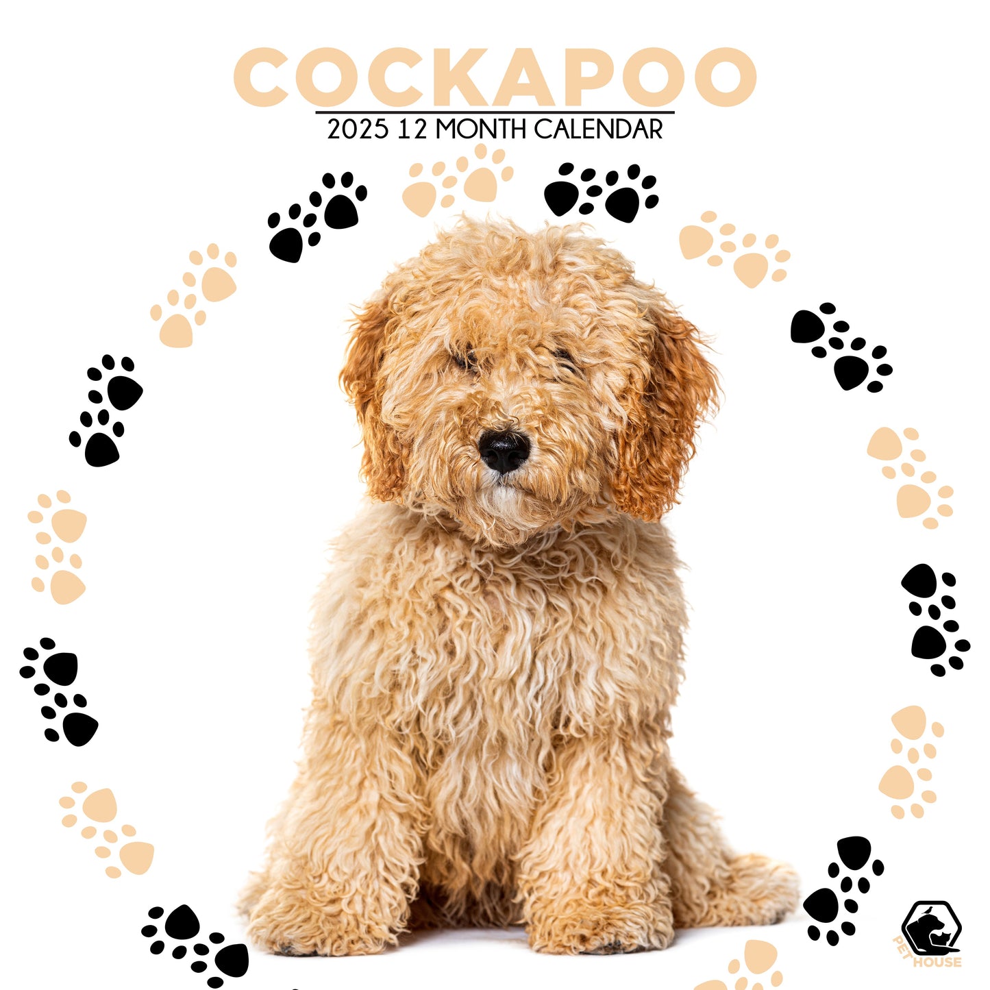 Cockapoo Calendar Square 2026