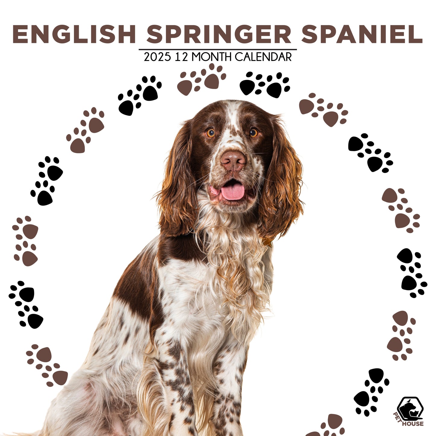 English Springer Spaniel Calendar Square 2026