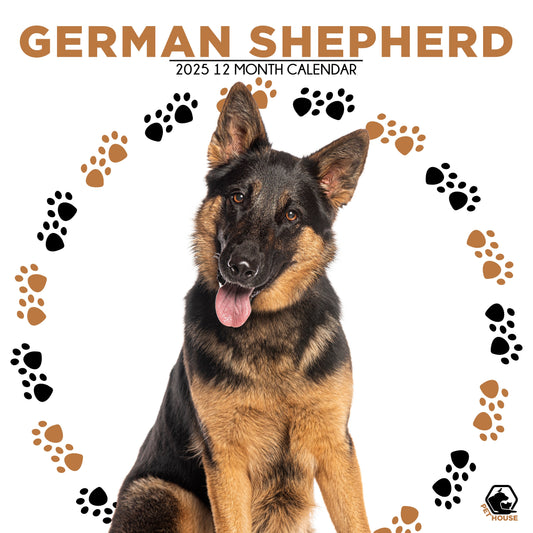 German Shepherd Calendar Square 2026