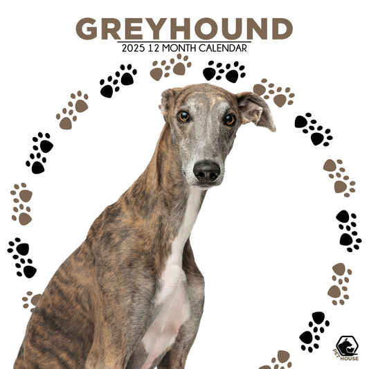 Greyhound Calendar Square 2026