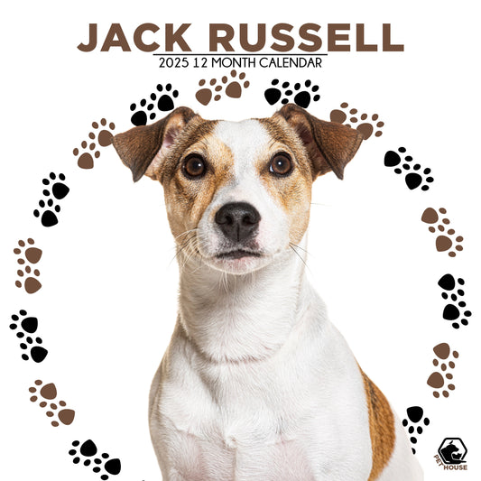 Jack Russell Calendar Square 2026