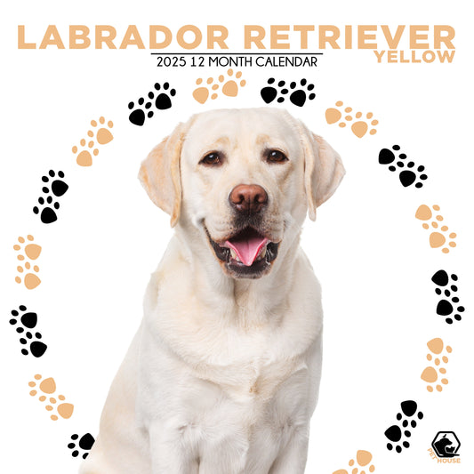 Labrador Retriever Yellow Calendar Square 2025