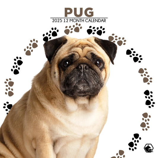 Pug Calendar Square 2025