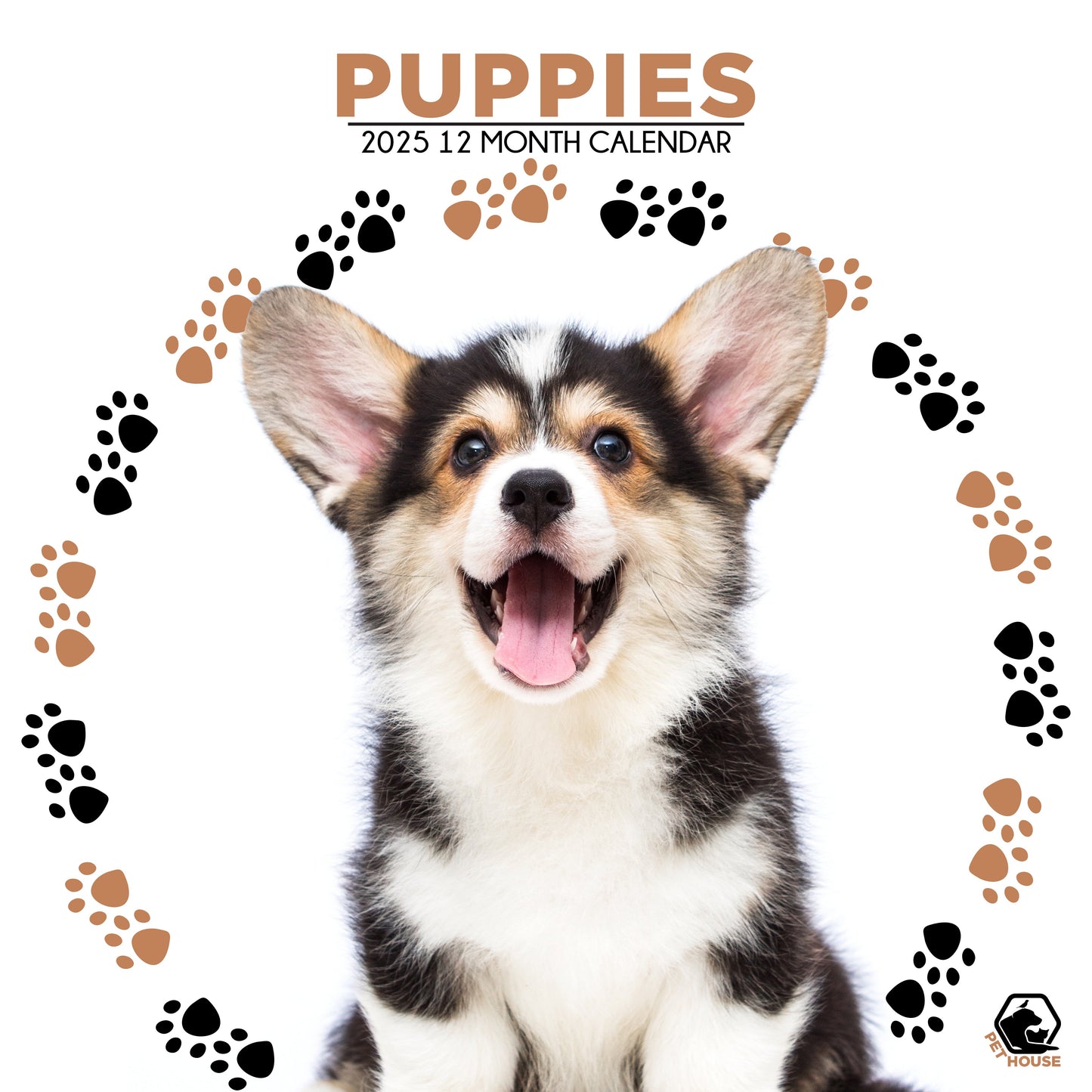 Puppies Calendar Square 2026