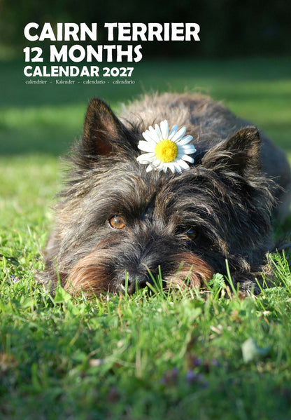 Cairn Terrier Dog Calendar 2027 – M-PRA Range