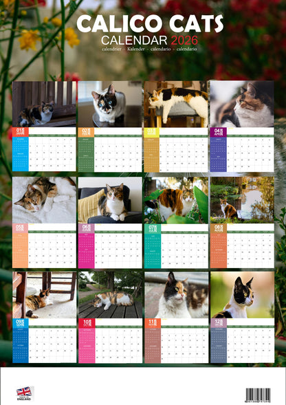 Calico Cats Calendar 2026 – M-PRA Range