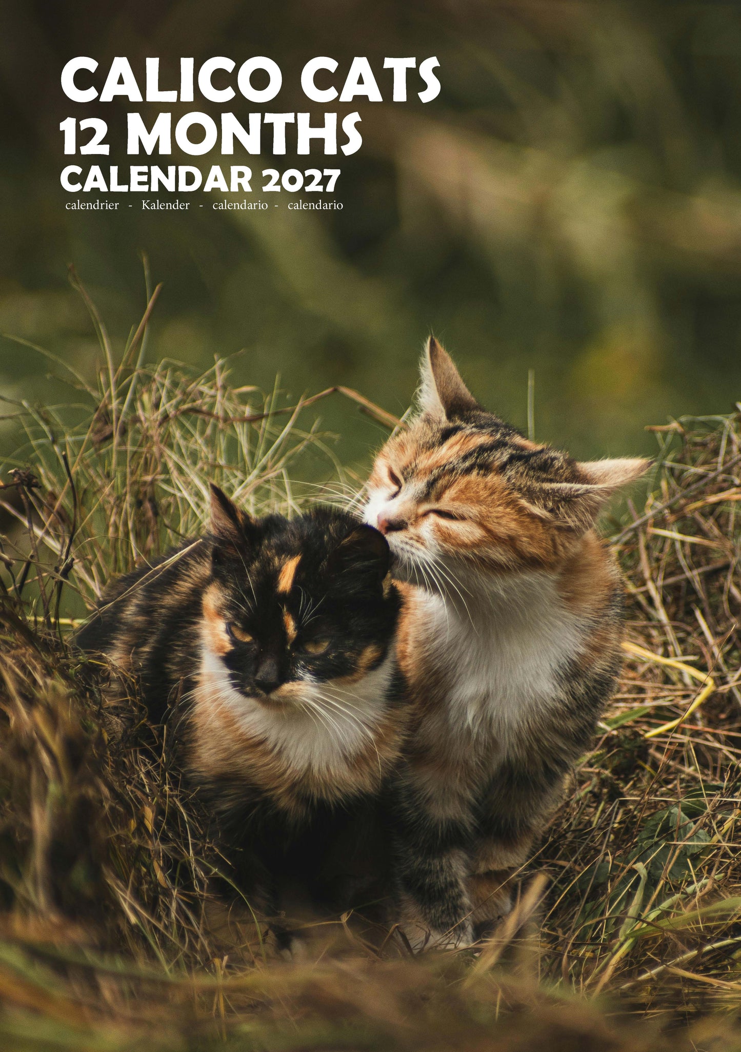Calico Cats Calendar 2027 – M-PRA Range