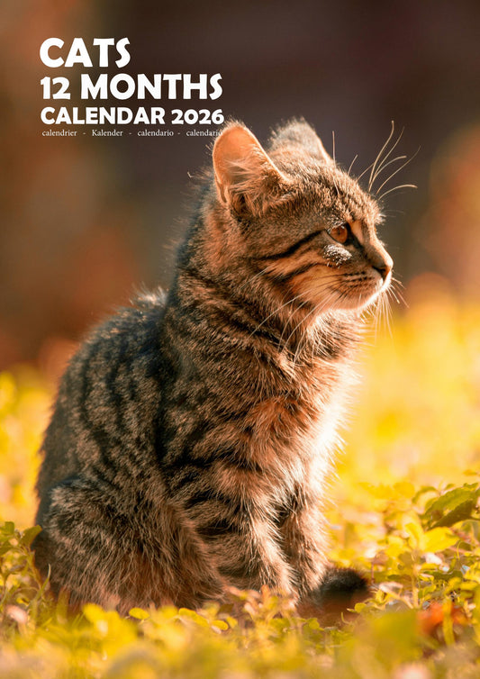 Cats Calendar 2026 – M-PRA Range