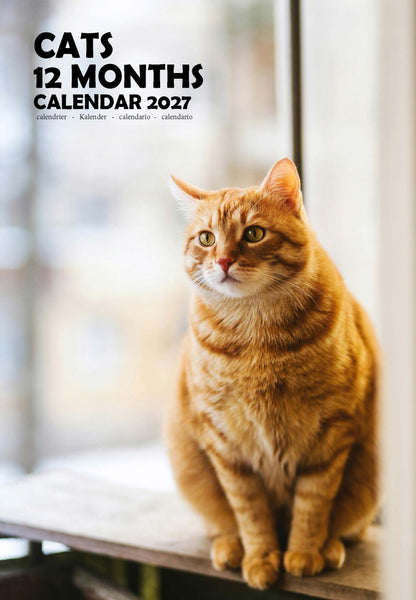 Cats Calendar 2027 – M-PRA Range