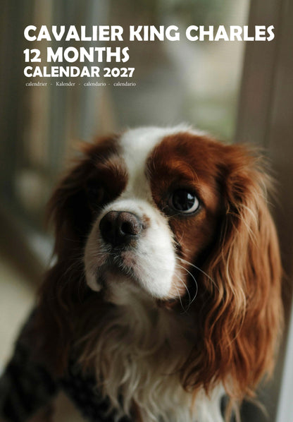 Cavalier King Charles Dog Calendar 2027 – M-PRA Range