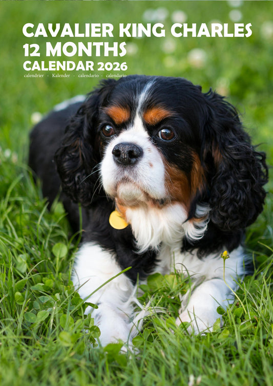 Cavalier King Charles Dog Calendar 2026 – M-PRA Range