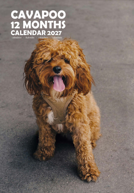 Cavapoo Dog Calendar 2027 – M-PRA Range