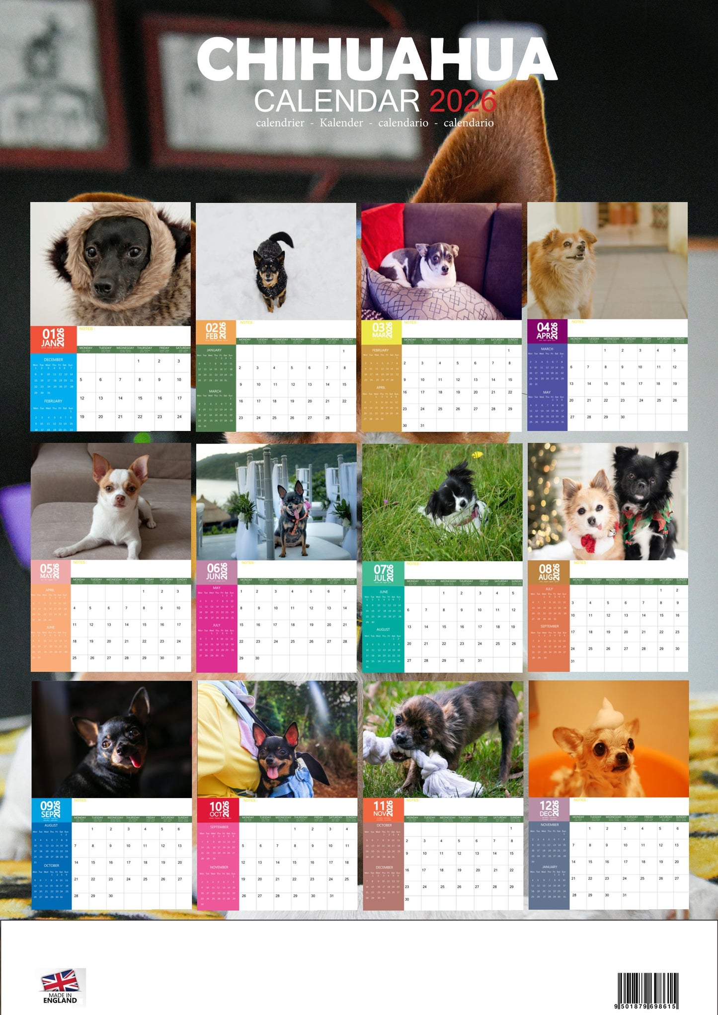 Chihuahua Dog Calendar 2026 – M-PRA Range