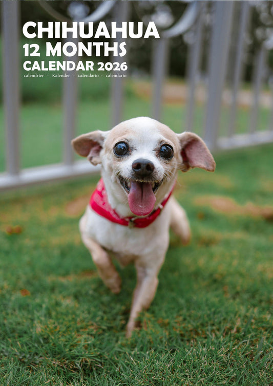 Chihuahua Dog Calendar 2026 – M-PRA Range