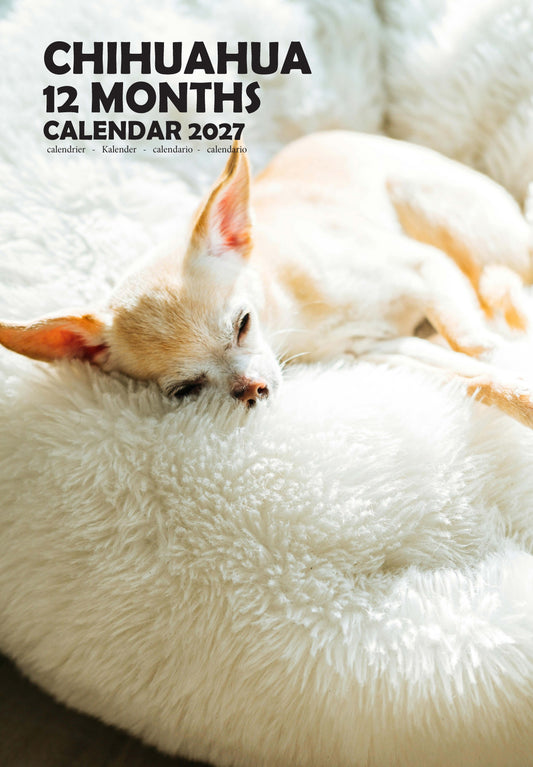 Chihuahua Dog Calendar 2027 – M-PRA Range
