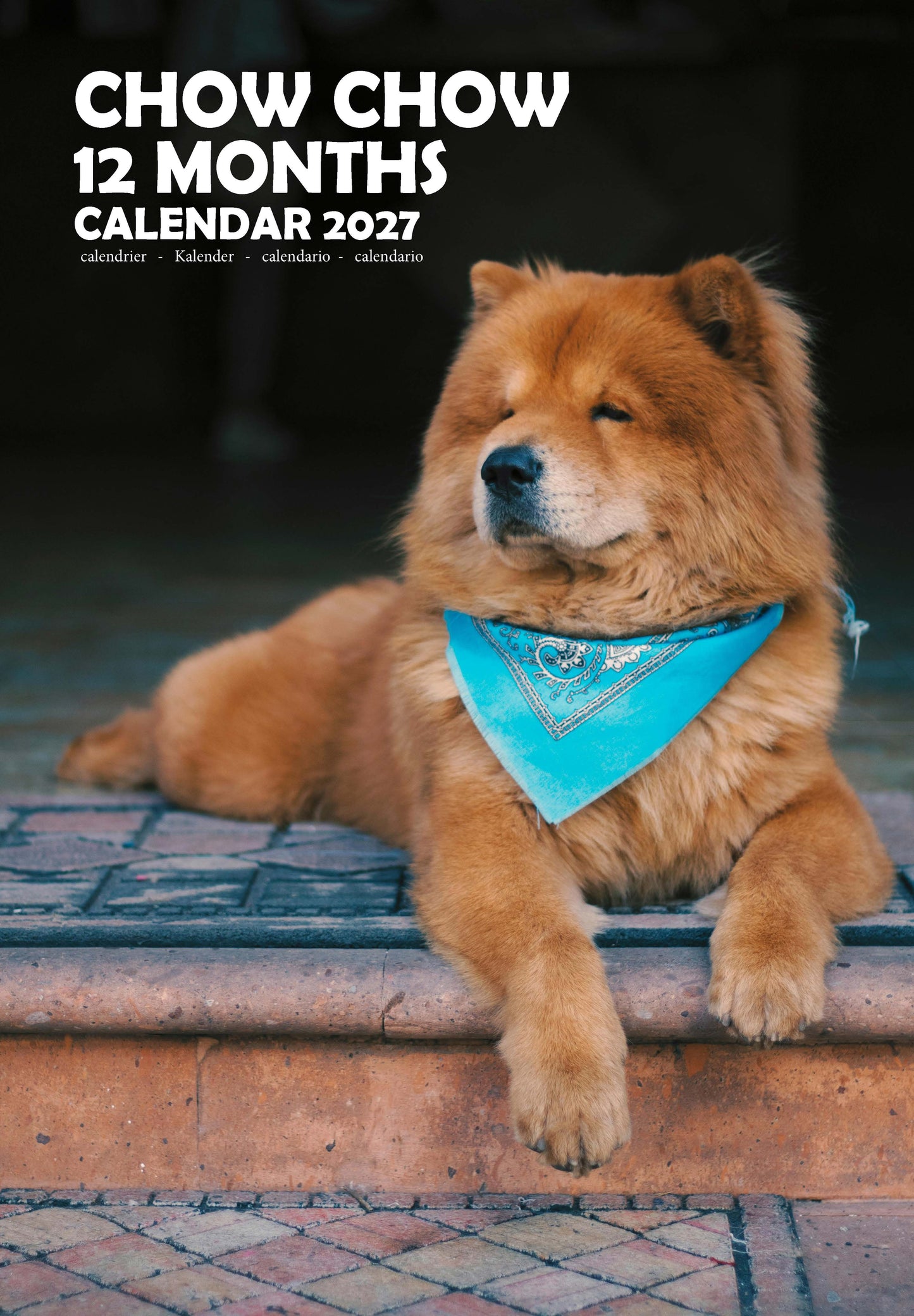 Chow Chow Dog Calendar 2027 – M-PRA Range