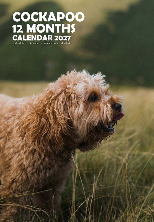 Cockapoo Dog Calendar 2027 – M-PRA Range