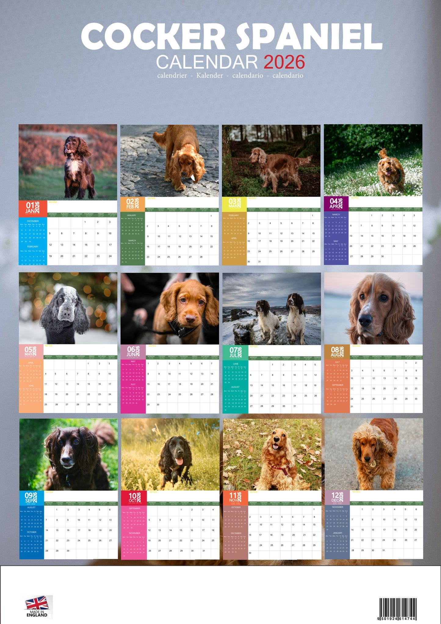 Cocker Spaniel Dog Calendar 2026 – M-PRA Range
