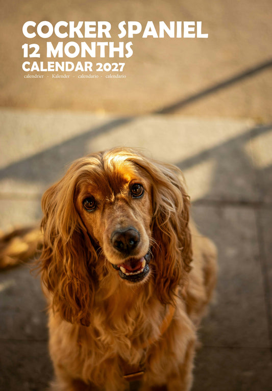 Cocker Spaniel Dog Calendar 2027 – M-PRA Range