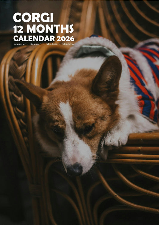 Corgi Dog Calendar 2026 – M-PRA Range