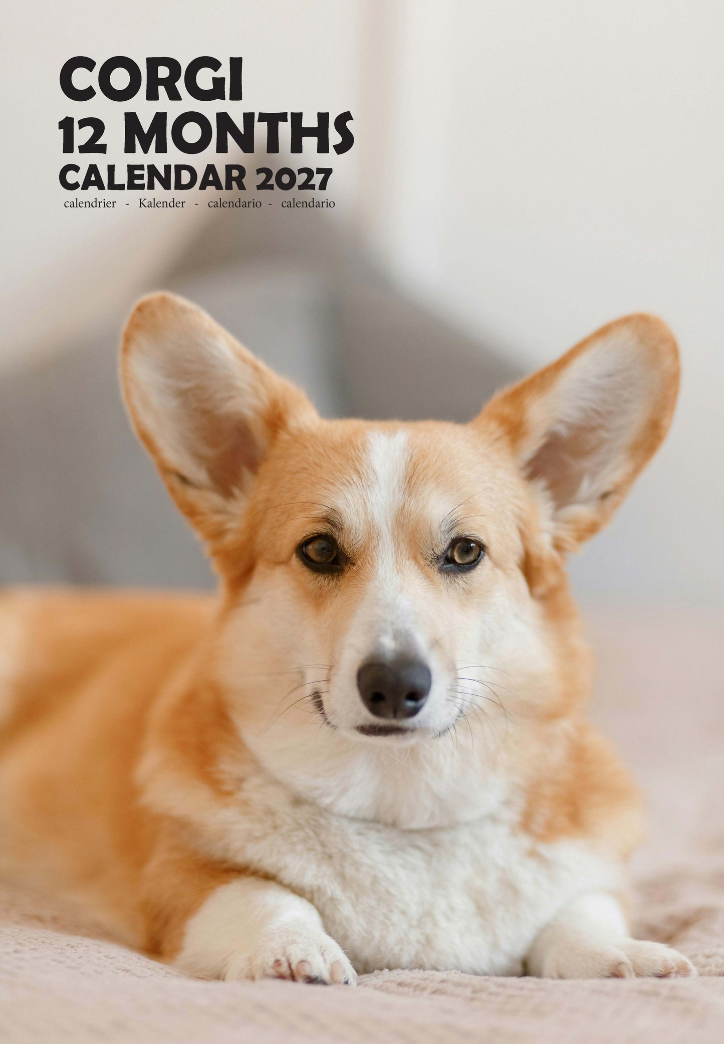 Corgi Dog Calendar 2027 – M-PRA Range