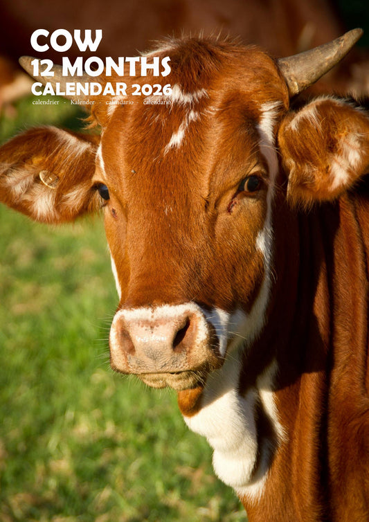 Cow Calendar 2026 – M-PRA Range
