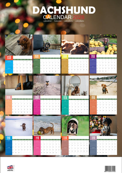 Dachshund Dog Calendar 2026 – M-PRA Range