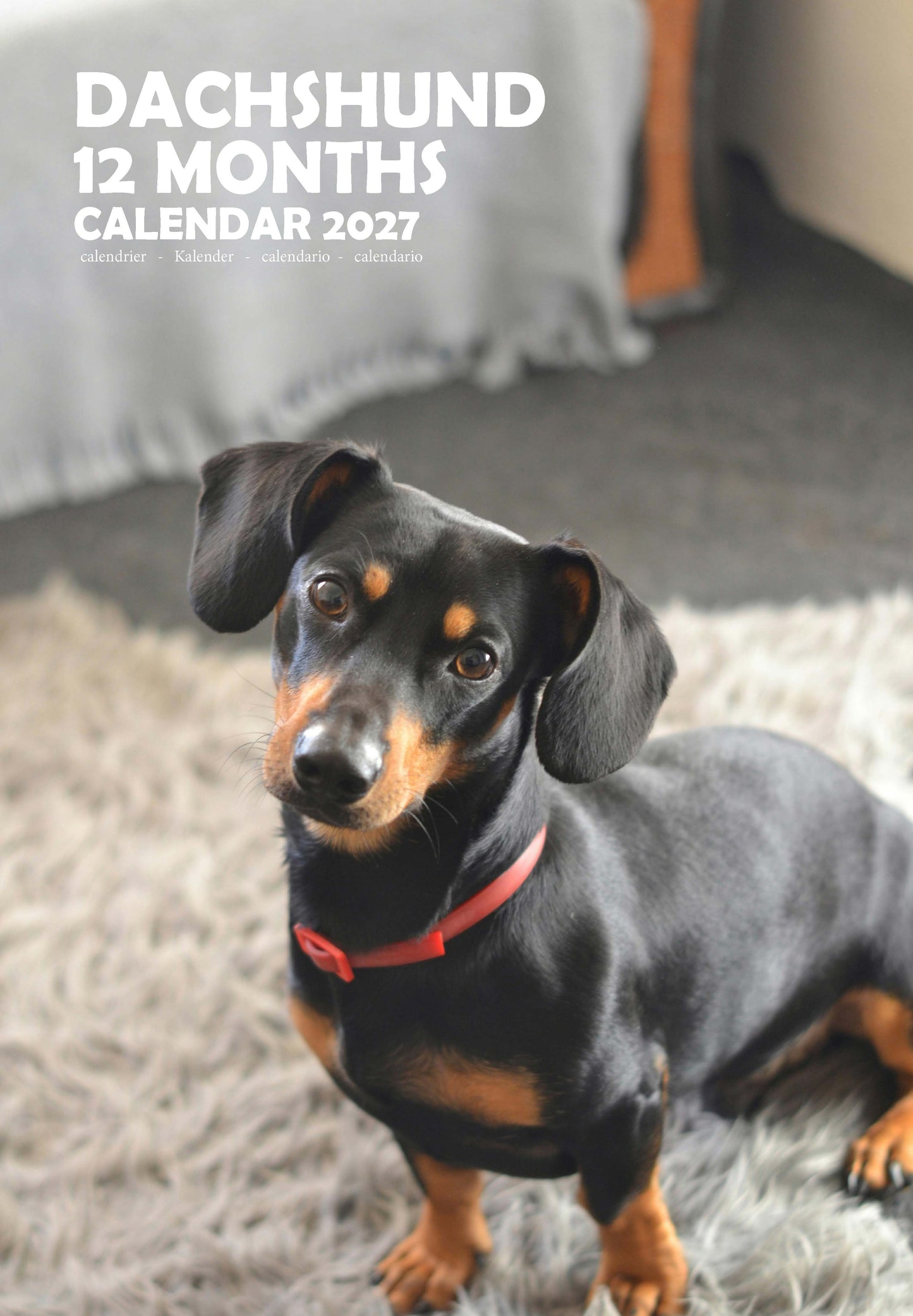 Dachshund Dog Calendar 2027 – M-PRA Range