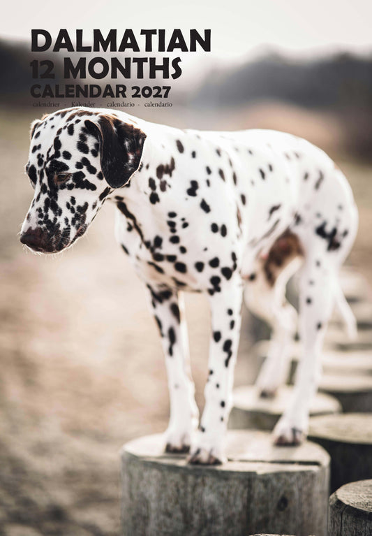 Dalmation Dog Calendar 2027 – M-PRA Range