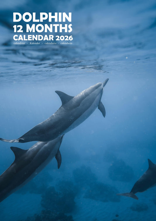 Dolphin Calendar 2026 – M-PRA Range