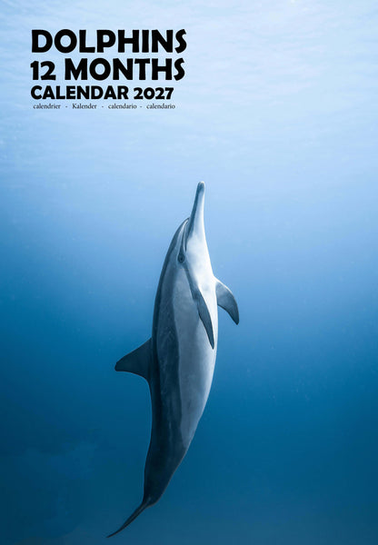 Dolphins Calendar 2027 – M-PRA Range