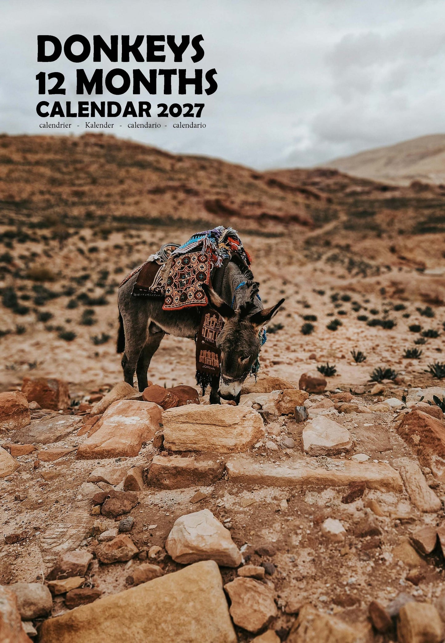 Donkeys Calendar 2027 – M-PRA Range